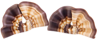 Schokofächer marmoriert 400 g
