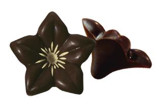 Schoko Blumen dunkel 76 Stück