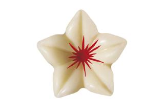 Schoko Blumen weiß 76 Stück