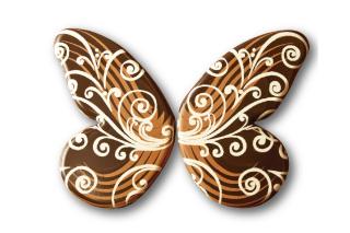 Schmetterling dunkel